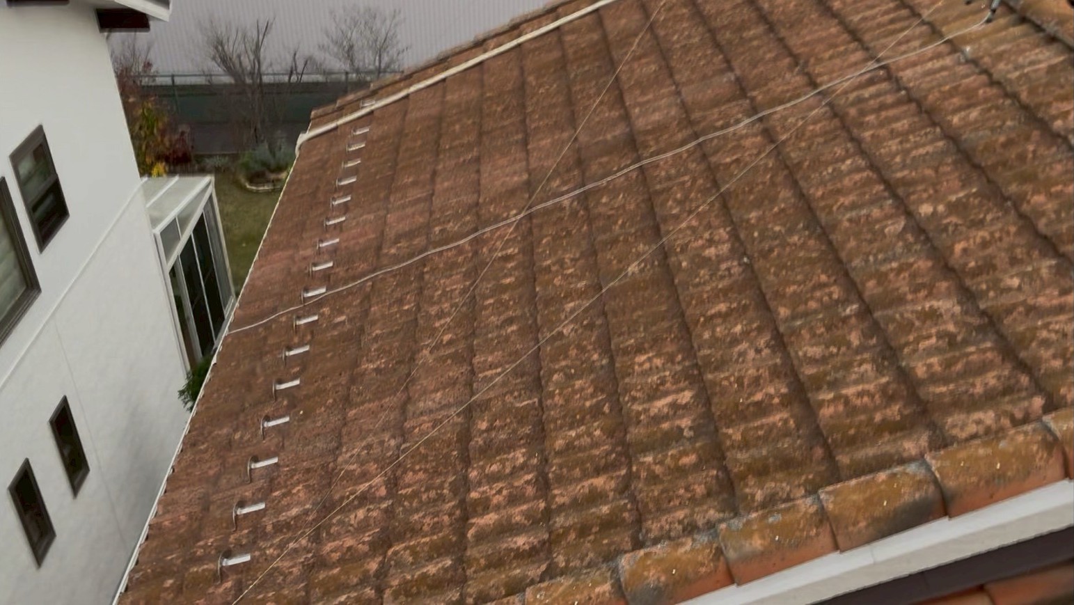 屋根全体に苔が発生している洋風のモニエル瓦